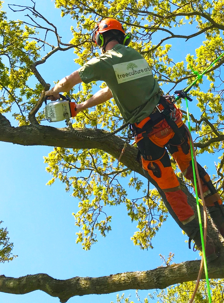 Tree surgeon working in a tree canopy with chainsaw and harness, wearing a Treeculture Arb T shirt